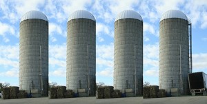 organizational-silos